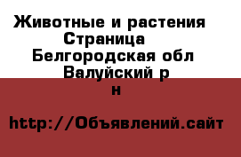  Животные и растения - Страница 8 . Белгородская обл.,Валуйский р-н